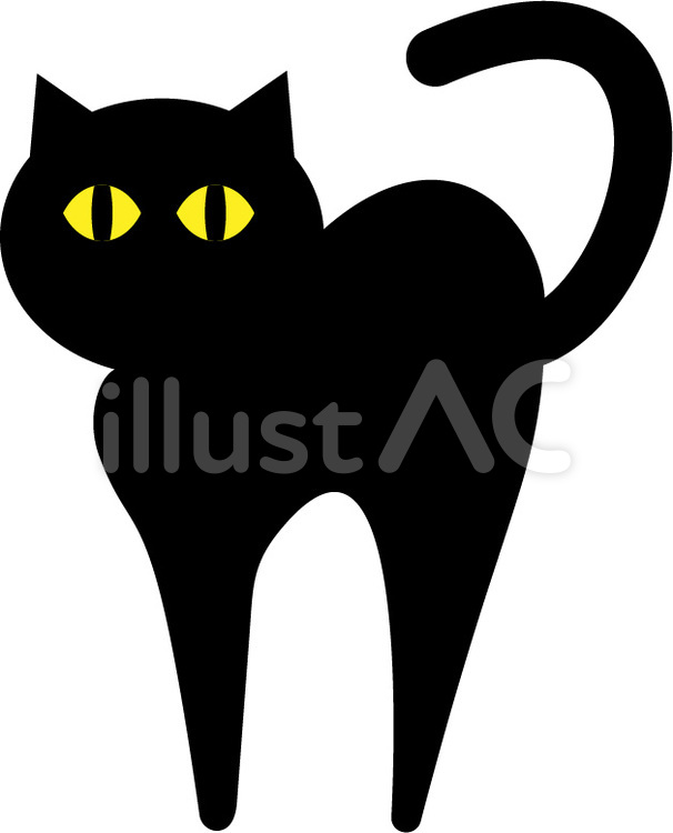 黒猫01