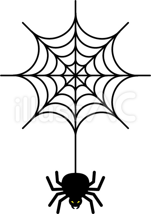 蜘蛛の巣と蜘蛛02