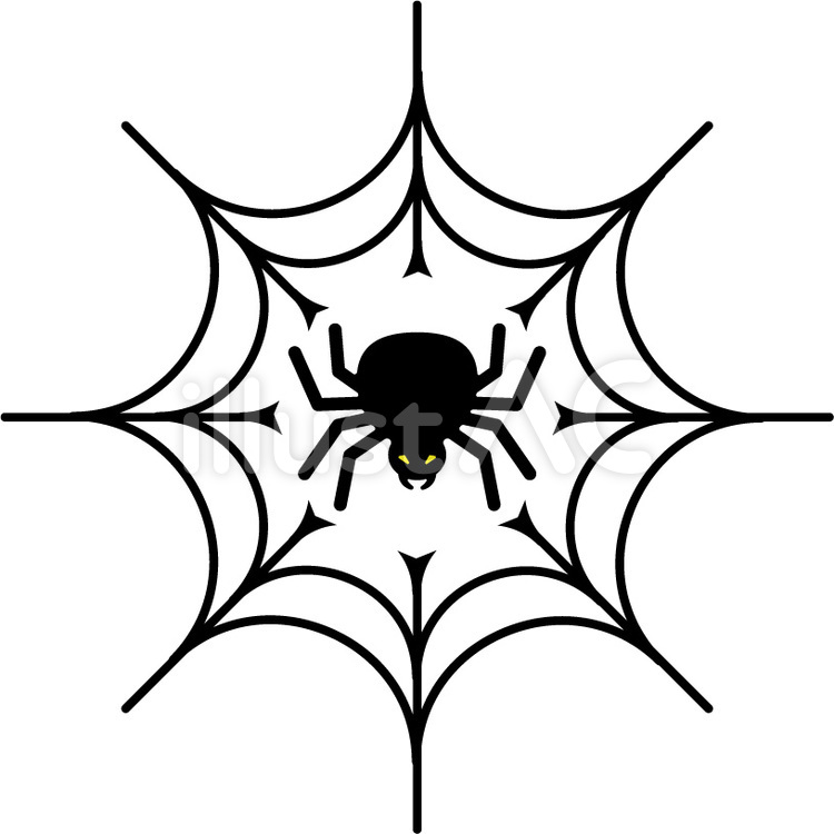 蜘蛛の巣と蜘蛛